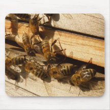 Abeilles de miel tapis de souris