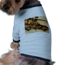 Abeilles de miel tee-shirt pour chien
