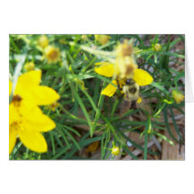 Abeilles de ressort cartes
