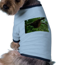 Abeilles Manteau Pour Chien