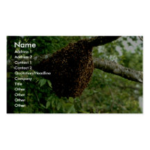 Abeilles Modèle De Carte De Visite