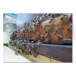 Abeilles obtenant dans leur ruche carte de vœux