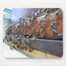 Abeilles obtenant dans leur ruche tapis de souris