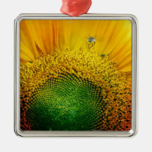 Abeilles Ornements