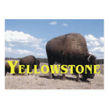 ABH Yellowstone Cartes De Visite Professionnelles