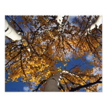 Abrégé sur Aspen Photographies D’art