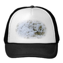 Abrégé sur neige casquettes de camionneur