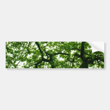 Abri d'arbre autocollants pour voiture