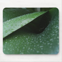Abri Tapis De Souris