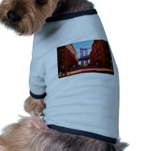 ABRUTI TEE-SHIRT POUR TOUTOU