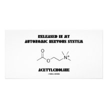 Acétylcholine libérée de système nerveux autonome photocarte
