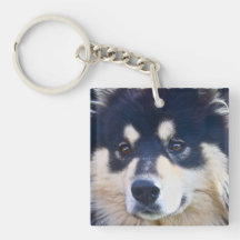 Acrylique finlandais doux Keychain de Lapphund Porte-clés