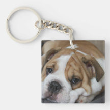 Acrylique Keychain de bouledogue de sommeil