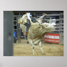 Action d'équitation de Taureau Affiche