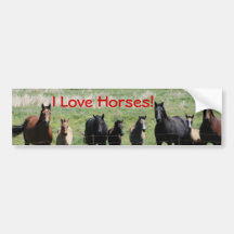 Adhésif pour pare-chocs - chevaux d'amour d'I ! Adhésifs Pour Voiture
