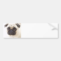 Adhésif pour pare-chocs de chien de carlin adhésif pour voiture