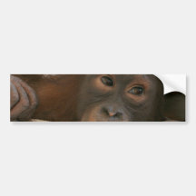 Adhésif pour pare-chocs de chimpanzé de bébé autocollants pour voiture