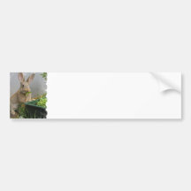 Adhésif pour pare-chocs de lapin de lapin autocollants pour voiture