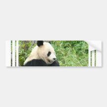 Adhésif pour pare-chocs de panda adhésifs pour voiture