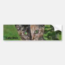Adhésif pour pare-chocs de règle de chats autocollants pour voiture