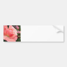 Adhésif pour pare-chocs de rose de rose autocollants pour voiture