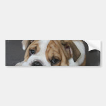 Adhésif pour pare-chocs de sommeil de bouledogue autocollant pour voiture