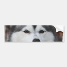 Adhésif pour pare-chocs enroué de chien adhésif pour voiture