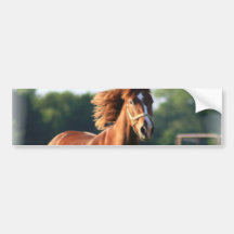 Adhésif pour pare-chocs galopant de cheval de chât adhésifs pour voiture