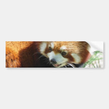 Adhésif pour pare-chocs rouge mignon d'ours panda autocollant pour voiture
