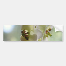 Adhésifs pour pare-chocs balançants d'orchidées autocollants pour voiture