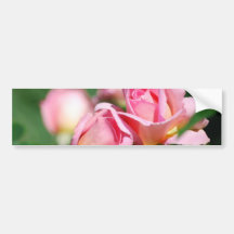 Adhésifs pour pare-chocs de bourgeon de rose de ro adhésifs pour voiture