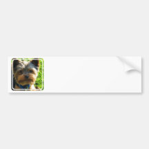 Adhésifs pour pare-chocs de Yorkshire Terrier Autocollant Pour Voiture