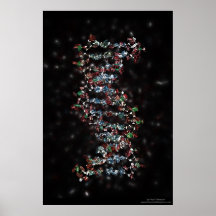 ADN ornée de bijoux Poster