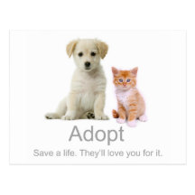 adoptez un animal familier carte postale