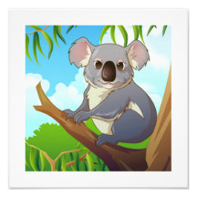 Adoptez un koala ! photographie d’art