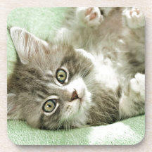 Adorable Cute Grey Tabby Kitten Paw Play Tapping Drink Coaster