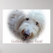 Adorable Golden-Doodle Dog Poster