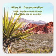 Adresse de retour de cactus de paysage de désert autocollants