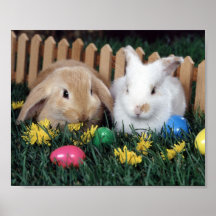 Affiche 2 de lapin