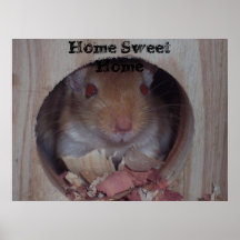 Affiche à la maison douce à la maison