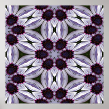 Affiche abstraite d'Osteospermum