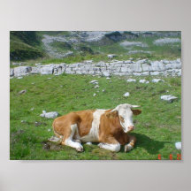 Affiche alpine de Taureau