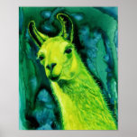Affiche/copie de lama - "lama de Llemon-Llime "