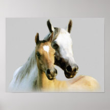 Affiche d'amis de cheval