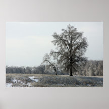 Affiche d'arbre d'hiver