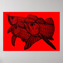 Affiche d'Arowana