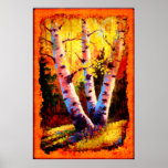Affiche d'art d'arbre d'Aspen