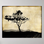 Affiche d'art de photo de silhouette d'arbre