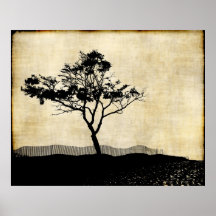 Affiche d'art de photo de silhouette d'arbre