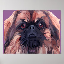 Affiche "de Bailey dur de tigre" de Pekingese